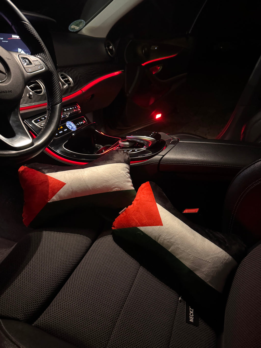 NECKZ Palästina Autokissen